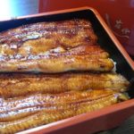 全てにおいてパーフェクトなうな重に出会えたのでラーメンじゃないけど