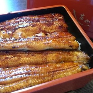 全てにおいてパーフェクトなうな重に出会えたのでラーメンじゃないけど