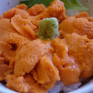 6月中旬～8月にしか食べれない利尻･礼文産エゾバフンウニ