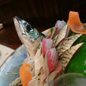 またまたの別府で関サバの活造りを食らう