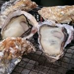 西港にある知る人ぞ知るかき小屋