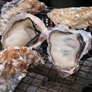 西港にある知る人ぞ知るかき小屋