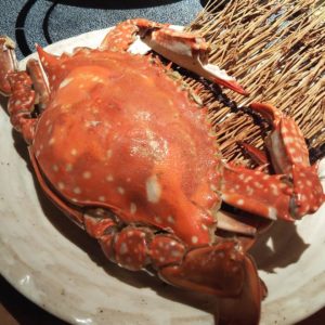 竹崎蟹で有名な佐賀南端に位置する太良町へ