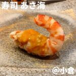 ◎寿司あさ海(小倉)◎ ＊小倉駅から徒歩8分 ＊落ち着く雰囲気の個性溢れる小倉前絶品お寿司 ＊食べログ3.65 ＊おまかせコース 第2の故郷 北九州にある大好きなお店を1000投稿目に。 寿司好きになったきっかけのお店。 いつ食べても小倉前そしてあさ海前の複雑な味わいは絶品。 江戸前は引き算のお寿司、小倉前は足し算のお寿司という 大将の言葉が何よりもしっくりくる。 定番の松川海老は安定の反りっぷりと旨味。 この海老に赤ウニが乗る季節にまた伺いたい。 そして中落ちの手巻きは何度食べても感動。 中落ち、山葵、ネギのバランスが秀逸。 金目鯛、赤貝、芽ネギのアカムツ巻きは今回初めて。 飽きのこない構成と足し算の握りを 終始じっくり時間をかけて味わいました。 ①アカムツ刺身 ②蛍烏賊の茶碗蒸し ③アカムツ ④マグロ縁側 ⑤松川海老 ⑥熟成ブリ ⑦鰆炙り ⑧赤貝 ⑨サヨリ ⑩金目鯛 ⑪ヤリイカ ⑫アカムツ手巻き