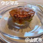 ウシマル(山武市)