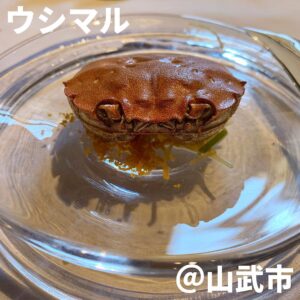 ウシマル(山武市)