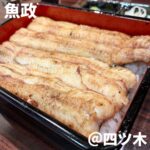 ◎魚政(四ツ木)◎ ＊四ツ木駅から徒歩1分 ＊炭火で香ばしく焼き上げたとろとろ絶品鰻 ＊食べログ4.09 　2019年うなぎ百名店 　The Tabelog award 2021年BRONZE受賞 ＊うなわさ重 国産ブランド鰻特上：7,030円 久しぶりの魚政で初めてうなわさ重を注文。 紀州備長炭でじっくり焼き上げた特上の活鰻は 旨みが凝縮していて、身がとろとろ。 蒲焼の方がタレの香ばしさがあるが、白焼きの方が 鰻の脂の乗りをストレートに感じることができる。 わさびと自家製出汁との相性も良く、臭みのない 鰻だからこそできる食べ方。 うなわさ重ももちろん美味しかったが、やっぱり 鰻は蒲焼のうな重が一番かなと思った。 ふわとろ感の友栄、香ばしさの魚政といった感じ。 今回皮目の切れの悪さが少し気になったが、相変わらずの 美味しさでした。 ★★★★★★★★☆☆