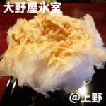 四代目大野屋氷室(上野)