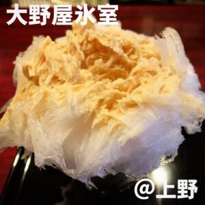 四代目大野屋氷室(上野)