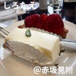 西洋菓子 しろたえ(赤坂見附)